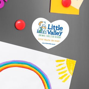 Little Valley Fridge Magnet